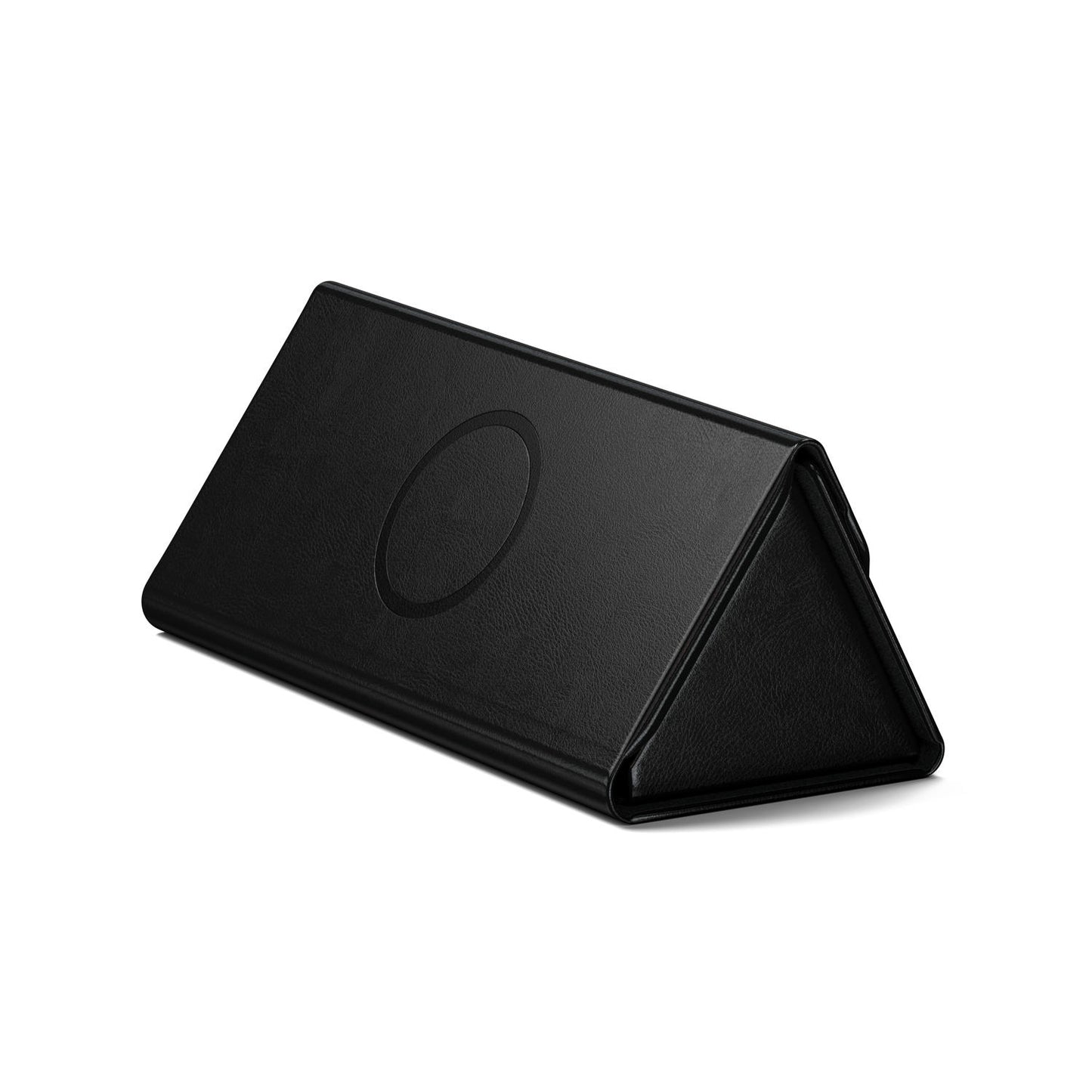 SATECHI - FINDALL GLASSES CASE (BLACK)