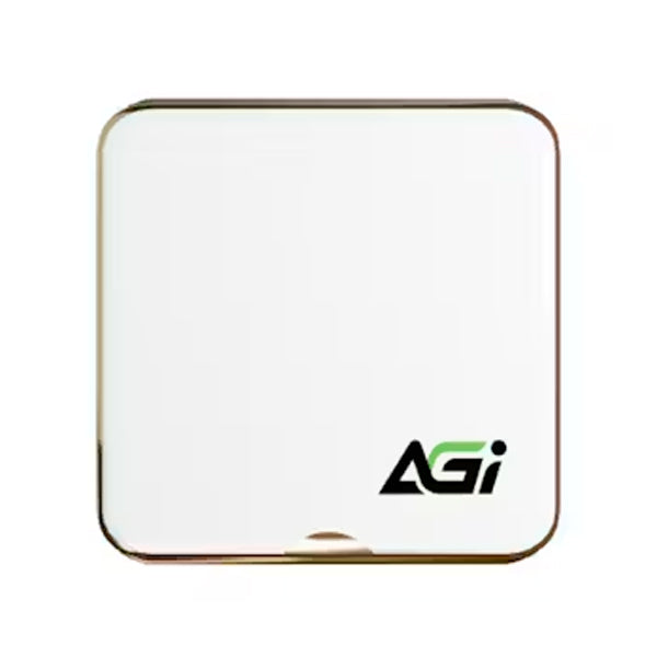 AGI SSD EXTERNO ED138 MAG 1TB USB-C BRANCO