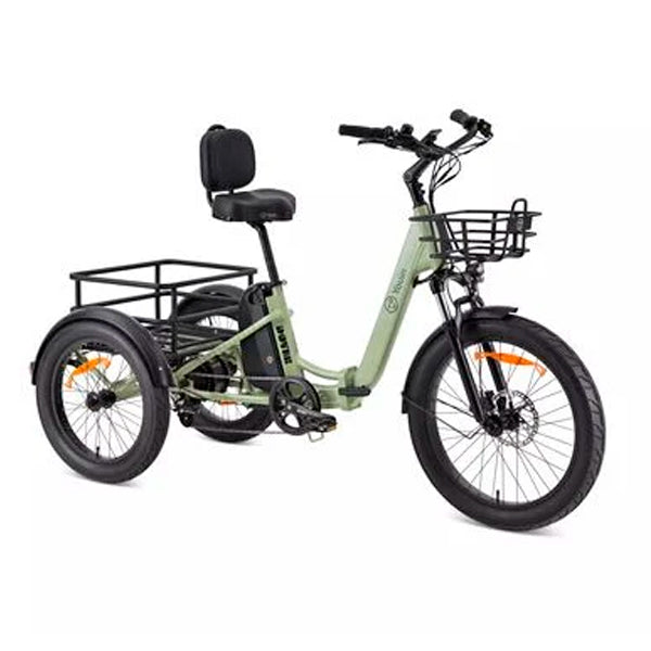YOUIN BICICLETA CARGA ELÉTRICA TRICICLO DOVER