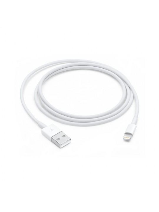 APPLE - Lightning to USB Cable (1 m)