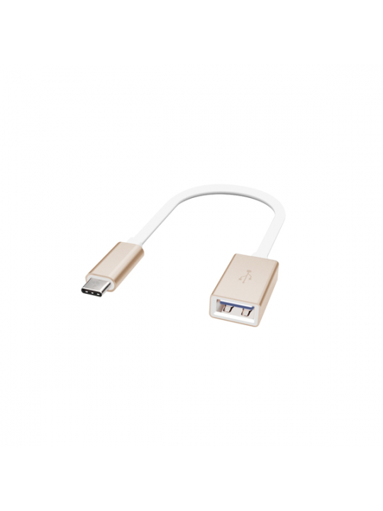 Artwizz - Adaptador 3.1 USB-C - USB A (F) (gold)