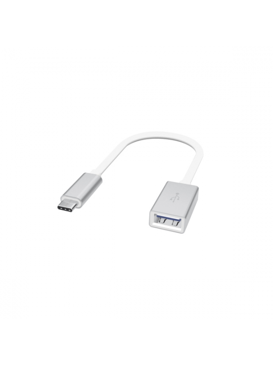 Artwizz - Adaptador 3.1 USB-C - USB A (F) (silver)