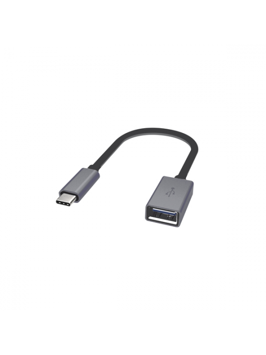 Artwizz - Adaptador 3.1 USB-C - USB A (F) (titan)